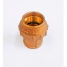Racor Recto Hembra 25x3/4