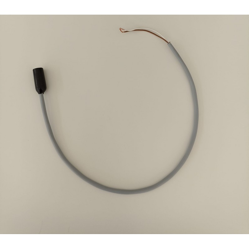 COPILOT - Sonda de temperatura